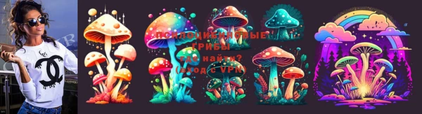 крисы Аркадак