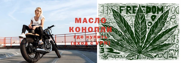 крисы Аркадак