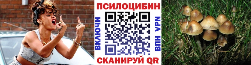 Галлюциногенные грибы Magic Shrooms  Нижняя Тура 